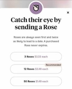 Hinge Roses Prices