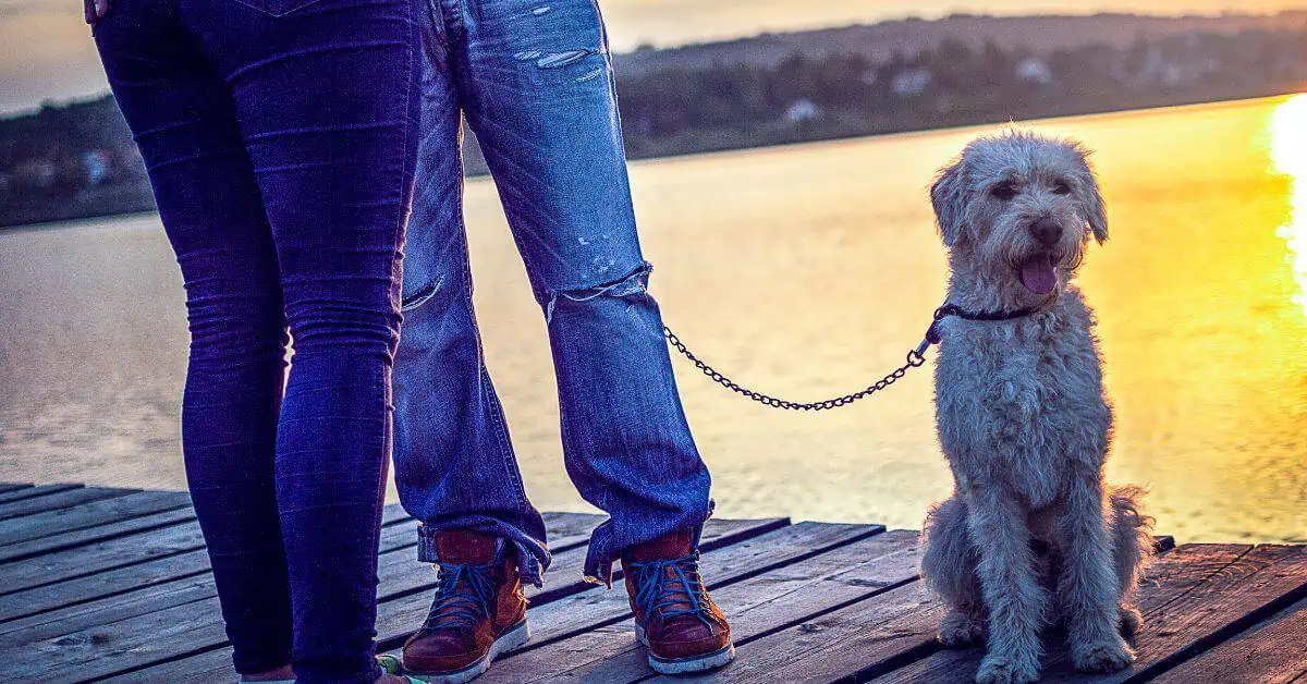 Man bringing his dog with him on his date