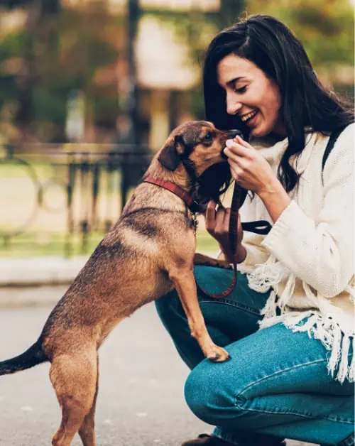Woman Giving Dog Treat