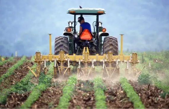 farmer