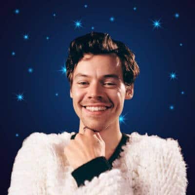 harry styles