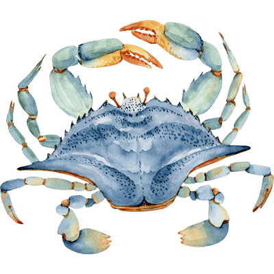 dungeness crab